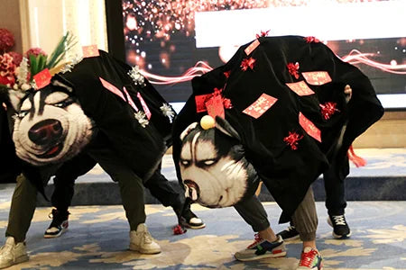 Fashionable Korean Small Crossbody Bags for Women Shoulder Bag Purse Women Handbag Bags