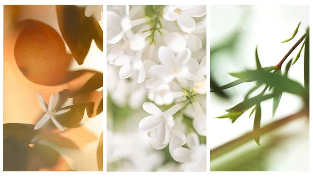 High Quality 90ml Men Perfume Muscle Men's Perfume High Quality Pheromones To Attract Opposite Sex Fragrance Cologne Pheromones